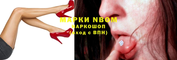 прущие грибы Армянск