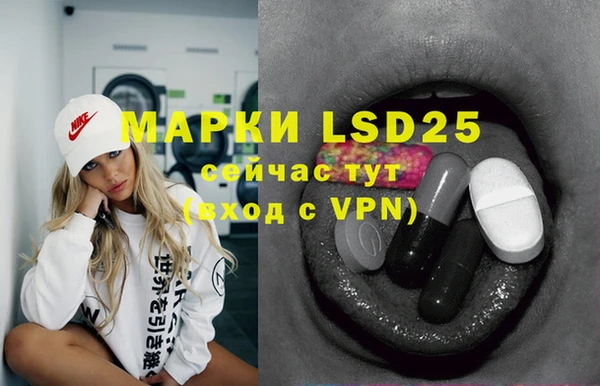 PSILOCYBIN Аркадак