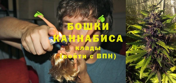 PSILOCYBIN Аркадак