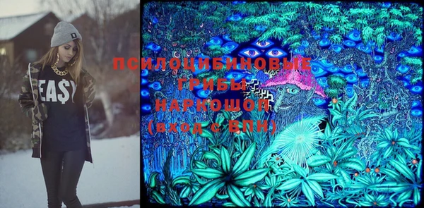 прущие грибы Армянск
