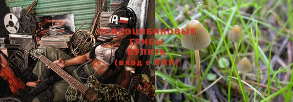 прущие грибы Армянск
