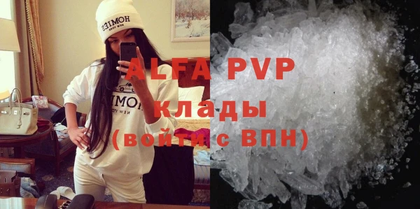 гашик Арсеньев
