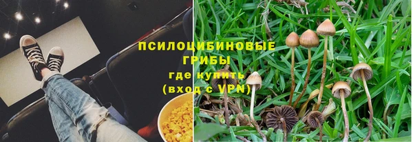 гашик Арсеньев