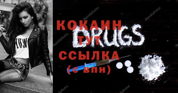 гашик Арсеньев