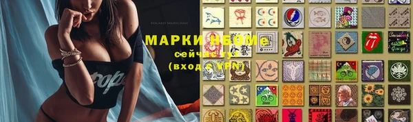 прущие грибы Армянск