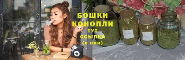 прущие грибы Армянск