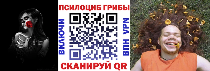 купить наркотики цена  Сусуман  Галлюциногенные грибы MAGIC MUSHROOMS 
